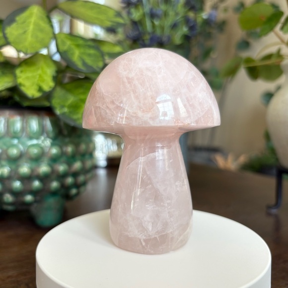 Discounted* Large Rose Quartz Crystal Mushroom Carving with Imperfection - Picture 13 of 13